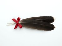 Dark brown feathers tied with red ribbon bow, isolated on white background. Suitable for craft projects, gift wrapping designs, and decorative applications.