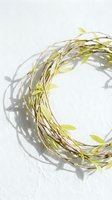 Delicate green leaf and twig wreath on white background with natural shadow, perfect for spring, Easter, and eco-friendly decor concepts.