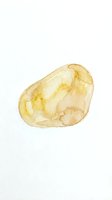 Watercolor painting of a pale yellow potato isolated on white background, suitable for culinary design, food packaging, and educational materials.