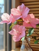 Delicate pink flowers with translucent petals and golden stamens arranged in a clear glass vase near a window with wooden blinds in soft natural light.