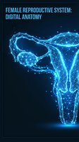 Female reproductive system low poly wireframe glowing blue on dark background, digital anatomy concept for medical education.