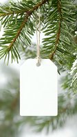 Blank white gift tag hanging on green pine tree branch with natural twine string against blurred winter background. For holiday mockup designs.