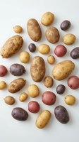 Assorted fresh potatoes in various sizes and colors including russet, red, purple, and yellow varieties arranged on white background for cooking and nutrition.