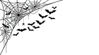 Spider web with flying bats and spiders on white background, isolated design element for Halloween decorations, invitations, and seasonal graphics.