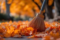 Broom sweeping vibrant orange and red autumn leaves on ground during fall season cleanup, with soft bokeh background of trees in golden sunlight.