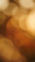 Soft bokeh background with warm amber and golden tones, featuring blurred circular light effects. Suitable for overlays, backgrounds, and design projects requiring elegant, out-of-focus aesthetics.