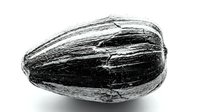 Whole zucchini with textured skin isolated on white background, suitable for culinary, food packaging, and recipe design projects.