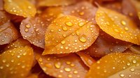 Vibrant orange autumn leaves covered in morning dew drops create natural pattern. Water droplets on fallen foliage showcase seasonal change and fresh rainfall.