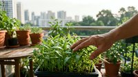 Person tending rooftop garden with seedlings in container, urban skyline visible in background, sustainable urban farming and green living concept.