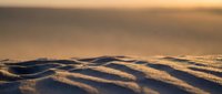 Golden sand dunes with rippled texture during warm sunset light creating natural patterns and shadows for travel and nature concepts.