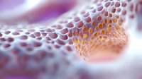 Macro abstract pattern of organic cellular structure in pink and orange tones with soft focus effect creates dreamy scientific background for medical or biological designs.