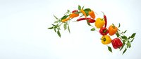 Fresh colorful bell peppers and green herbs floating in dynamic motion on clean white background for culinary design projects.