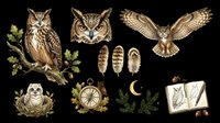 Owl species collection with feathers, nest, compass, moon, evergreen branches, and open journal isolated on transparent background. Ready for t-shirt design, clipart, stickers, sublimation, and print-on-demand projects.