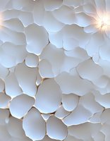 Delicate white paper flowers creating soft layered texture with gentle shadows and warm backlight, abstract artistic composition for wedding and celebration backgrounds.