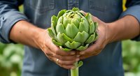 Farmer holding fresh green artichoke in hands outdoors, showcasing organic produce harvest for agricultural, food, and farming industry use.