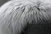 Extreme close-up of white feathers creating soft textural pattern against dark fabric background, shot in black and white with shallow depth of field for artistic effect.