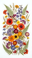 Pressed wildflower arrangement with poppies, daisies, ferns and mixed blooms on white background for botanical art and craft projects.