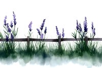 Watercolor lavender flowers and grass border on white background, isolated botanical illustration for rustic home decor and natural design projects.