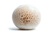 Fresh white puffball mushroom with honeycomb-like texture and delicate brown spore pattern isolated on white background, ready for culinary or nature designs.