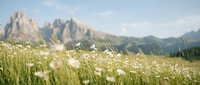 Alpine meadow with white wildflowers blooming in foreground against dramatic mountain peaks backdrop. Natural landscape scenery for outdoor recreation content.