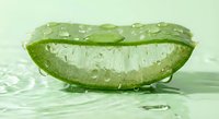 Fresh aloe vera leaf slice with clear gel and water droplets on green surface for natural skincare and wellness applications.