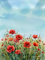 Watercolor red poppies blooming in a green meadow under a soft blue sky, painted in a delicate artistic style for prints, cards, and wall art.