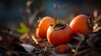 Ripe persimmons on forest floor with autumn leaves, warm sunlight creating natural glow in organic garden setting.