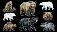 Watercolor and line art bear clipart set isolated on transparent background, ready for stickers, t-shirt design, print on demand, and sublimation projects.