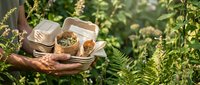 Hands holding wooden tray with herbal tea cups in sunlit garden setting. Natural wellness lifestyle concept for relaxation and mindfulness practices.