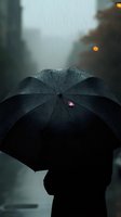 Black umbrella with pink petal in rain against moody dark background, silhouette figure holding parasol during rainfall with bokeh lights creating atmospheric scene.
