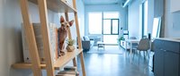 Modern minimalist office interior with wooden ladder shelf, plants and natural light streaming through large windows creating bright workspace.