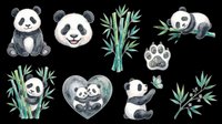 Cute watercolor panda clipart set with bamboo, paw print, and heart, isolated on transparent background. Great for stickers, t-shirt design, and print on demand.