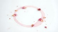 Dried flower petals arranged in circular frame on white background, isolated design element for wedding invitations, greeting cards, and decorative projects.