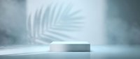 Minimalist white rectangular podium with soft shadow from palm leaf on gray wall, modern product display stand for cosmetics, skincare, and luxury goods.