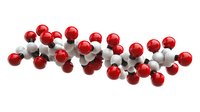 Molecular structure model showing red and white spheres connected in chain formation against white background, isolated for scientific and educational purposes.