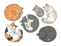 Sleeping cats in various poses and colors, isolated on white background, suitable for nursery decor, children's apparel, stickers, and design projects.