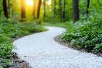 Winding gravel path through lush green forest with bright sunlight filtering through trees creating peaceful nature trail for hiking and outdoor recreation.