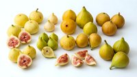 Fresh yellow and green figs with pink flesh arranged on white background, whole and sliced fruits for culinary, food styling and healthy eating content.