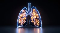 Glowing neon human lungs with bronchial tree anatomy on dark background, medical science visualization showing respiratory system structure and airways.