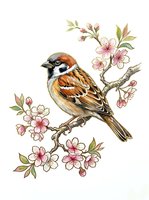 Sparrow perched on flowering branch with pink blossoms and green leaves, isolated on white background for design, clipart, and decorative use.