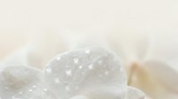 Clear quartz crystal cluster with sparkling faceted surfaces on soft neutral background for healing meditation and spiritual wellness practices.