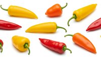 Colorful hot chili peppers in red, yellow and orange isolated on white background for spicy food cooking and culinary design projects.