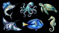 Marlin, octopus, sea turtle, manta ray, blue fish, and seahorse isolated on transparent background. Ready for t-shirt design, clipart, stickers, sublimation, and print-on-demand products.