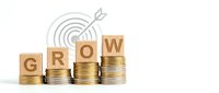 Wooden letter blocks spelling GROW on stacks of golden coins with target and arrow symbol representing business growth and financial success.