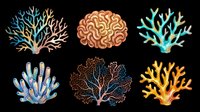 Colorful coral reef elements isolated on transparent background, ready for t-shirt design, clipart, stickers, sublimation, print-on-demand products and digital crafts.