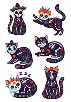 Colorful skeleton cats with floral crowns and decorative patterns in day of the dead style, isolated on transparent background. Perfect for t-shirt designs, stickers, and festive merchandise.