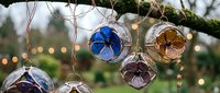 Colorful glass ball ornaments hanging from tree branch with warm string lights creating festive holiday atmosphere for seasonal decorating.