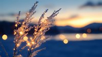 Glowing pampas grass silhouettes against sunset sky with bokeh lights, mountain lake backdrop creates dreamy atmospheric nature scene at dusk.