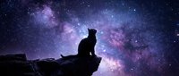 Cat silhouette sitting on rocky cliff against stunning purple Milky Way galaxy starry night sky background for astronomy and pet themed designs.