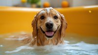 Happy wet Golden Retriever dog taking bath in yellow tub with soap bubbles, smiling friendly face expression, close up portrait of pet grooming and care.